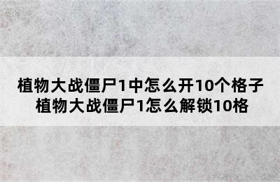 植物大战僵尸1中怎么开10个格子 植物大战僵尸1怎么解锁10格